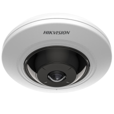 IP Камера DS-2CD2955G0- ISU